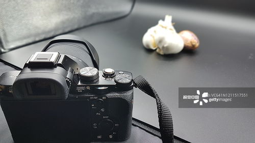 摄影图片 捕捉瞬间的艺术与价值